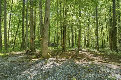 145 Kingfisher Lane, Sylva, NC 28779 - Photo 29