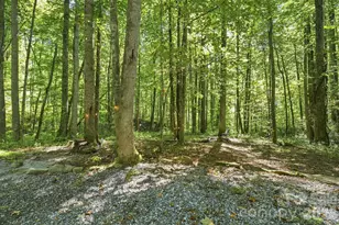 145 Kingfisher Ln, Sylva, NC 28779 - Photo 29