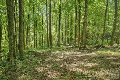 145 Kingfisher Lane, Sylva, NC 28779 - Photo 31
