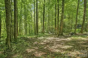 145 Kingfisher Ln, Sylva, NC 28779 - Photo 31