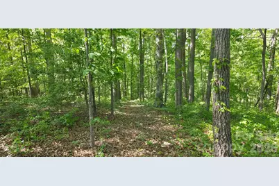1732 Paul Payne Store Road, Taylorsville, NC 28681 - Photo 41