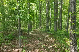 1732 Paul Payne Store Rd, Taylorsville, NC 28681 - Photo 41