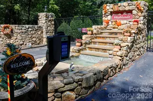 255 Cross Ridge Dr, Rutherfordton, NC 28139 - Photo 45