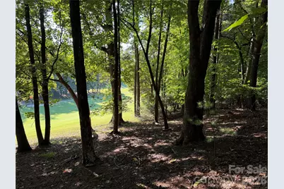 121 Bobby Jones Drive #48, Hendersonville, NC 28739 - Photo 7