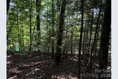 121 Bobby Jones Drive #48, Hendersonville, NC 28739 - Photo 3