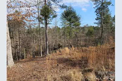 3318 Pyramid Peak Trail #212, Connelly Springs, NC 28612 - Photo 7