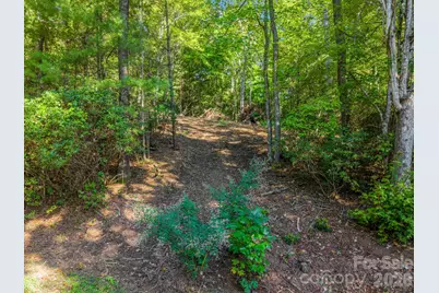 130 Summit Rise Road, Pisgah Forest, NC 28768 - Photo 5