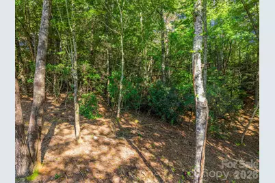 130 Summit Rise Road, Pisgah Forest, NC 28768 - Photo 9