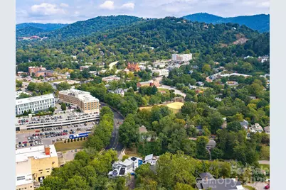 10 Birdhouse Row, Asheville, NC 28801 - Photo 47