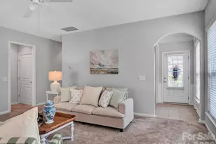 911 Lily Magnolia Ct, Indian Land, SC 29707 - Photo 9