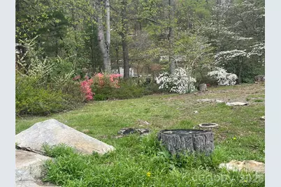 48 McKinnish Cove Drive, Asheville, NC 28806 - Photo 3