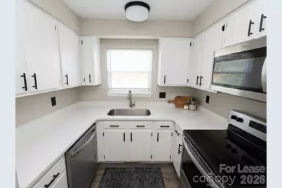 708 Langtree Road, Mooresville, NC 28117 - Photo 3