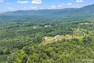 2255 Lake Adger Rd, Mill Spring, NC 28756 - Photo 11