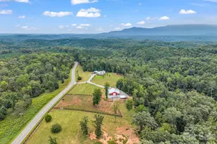 2255 Lake Adger Rd, Mill Spring, NC 28756 - Photo 13