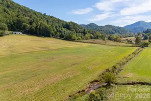 422 S Turkey Creek Rd, Leicester, NC 28748 - Photo 3