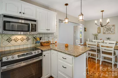 422 S Turkey Creek Road, Leicester, NC 28748 - Photo 19