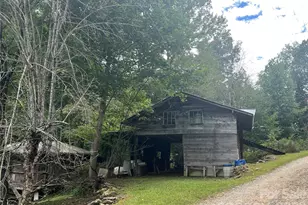 201 S Face Ln, Burnsville, NC 28714 - Photo 25