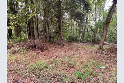 245 Slayton Street, Whitmire, SC 29178 - Photo 3