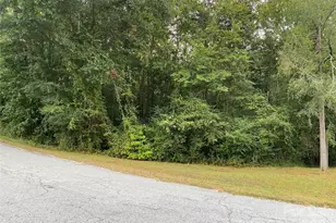 245 Slayton St, Whitmire, SC 29178 - Photo 1