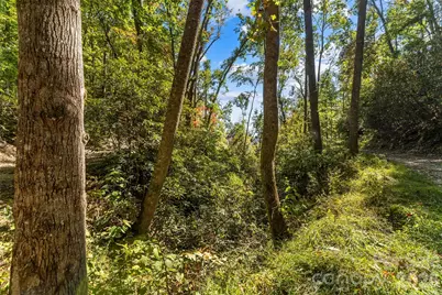 605 Lower Loop Drive, Fletcher, NC 28732 - Photo 11