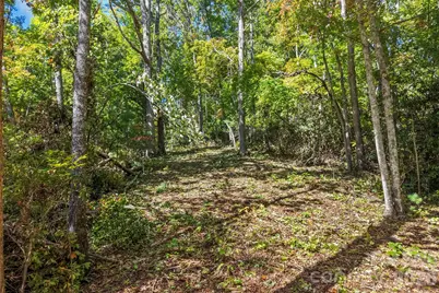 605 Lower Loop Drive, Fletcher, NC 28732 - Photo 5