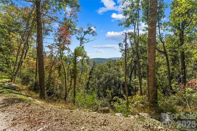 605 Lower Loop Drive, Fletcher, NC 28732 - Photo 13