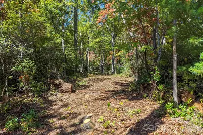 605 Lower Loop Drive, Fletcher, NC 28732 - Photo 7