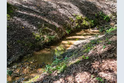 273 Cross Creek Drive, Marion, NC 28752 - Photo 35
