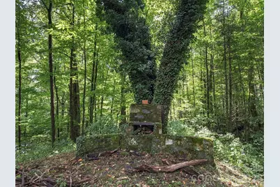 151 Tiger Lily Lane, Waynesville, NC 28786 - Photo 5