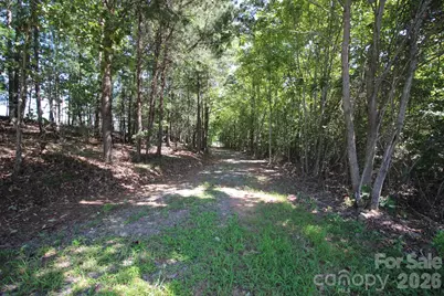 221, 219 McNeilly Road, Casar, NC 28020 - Photo 9