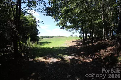 221, 219 McNeilly Road, Casar, NC 28020 - Photo 11