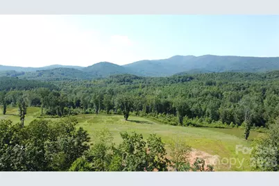 221, 219 McNeilly Road, Casar, NC 28020 - Photo 1