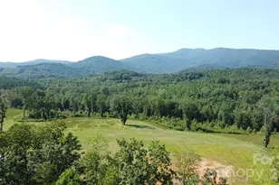 221 219 McNeilly Rd, Casar, NC 28020 - Photo 1