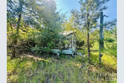 0000 Newman Lane, Jefferson, SC 29718 - Photo 3