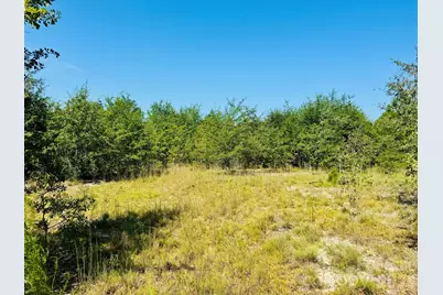 0000 Newman Lane, Jefferson, SC 29718 - Photo 11