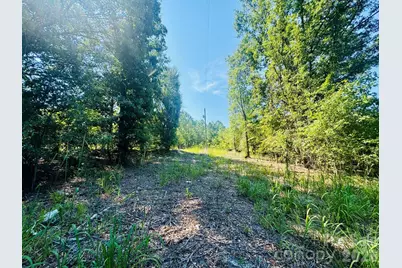 0000 Newman Lane, Jefferson, SC 29718 - Photo 5