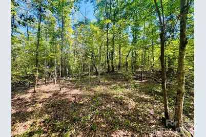 0000 Newman Lane, Jefferson, SC 29718 - Photo 15