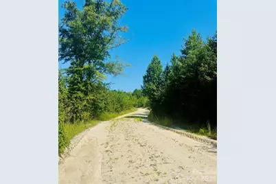 0000 Newman Lane, Jefferson, SC 29718 - Photo 7