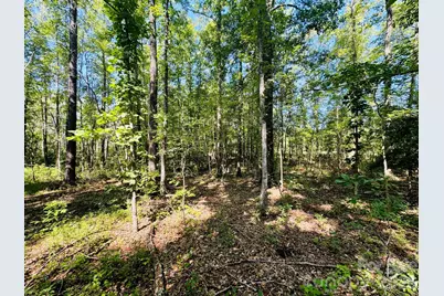 0000 Newman Lane, Jefferson, SC 29718 - Photo 13