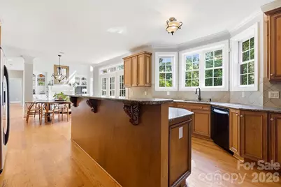 4224 Mountain Cove Drive, Charlotte, NC 28216 - Photo 17