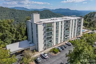 647 Town Mountain Rd, Asheville, NC 28804 - Photo 19