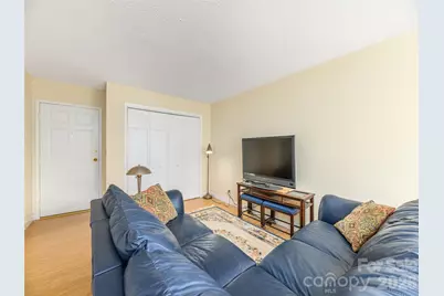 647 Town Mountain Road #307, Asheville, NC 28804 - Photo 7
