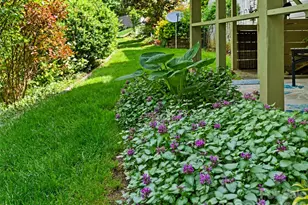 15 Baird Alley, Asheville, NC 28804 - Photo 11