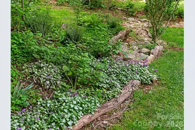 15 Baird Alley, Asheville, NC 28804 - Photo 7