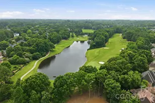 14516 Ballantyne Country Club Dr, Charlotte, NC 28277 - Photo 41