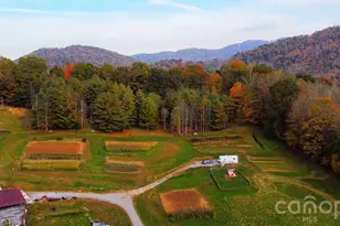 124 Penland Br Rd, Burnsville, NC 28714 - Photo 1