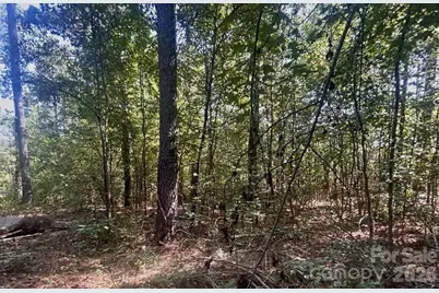 1216 Ross Road, Blackstock, SC 29014 - Photo 3