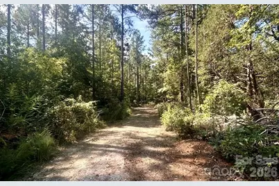 1216 Ross Road, Blackstock, SC 29014 - Photo 1