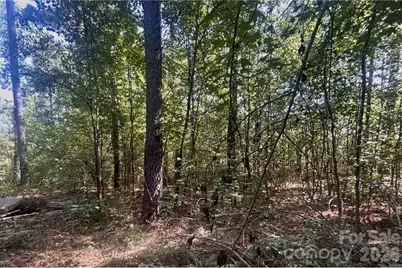 1216 Ross Road, Blackstock, SC 29014 - Photo 13