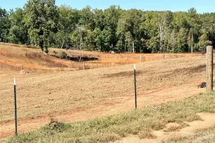 550 Dills Rd, Rutherfordton, NC 28139 - Photo 5